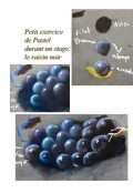 Feuille raisin noir